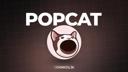 Popcat (POPCAT) nedir?