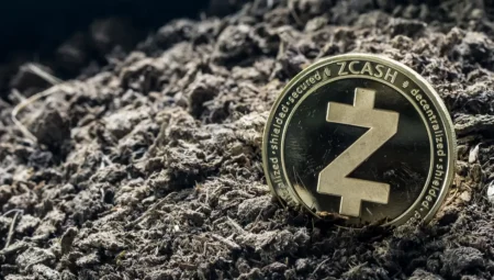 Zcash (ZEC) coin fiyatı bir haftada %31 yükseldi